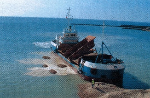 Stone dumper for sale